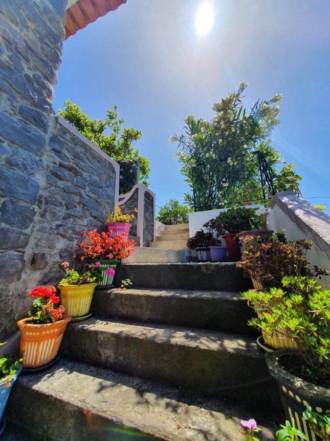 Hotel Casa Velha D Fernando E Casa Avo Augusta Ribeira Brava Exteriér fotografie