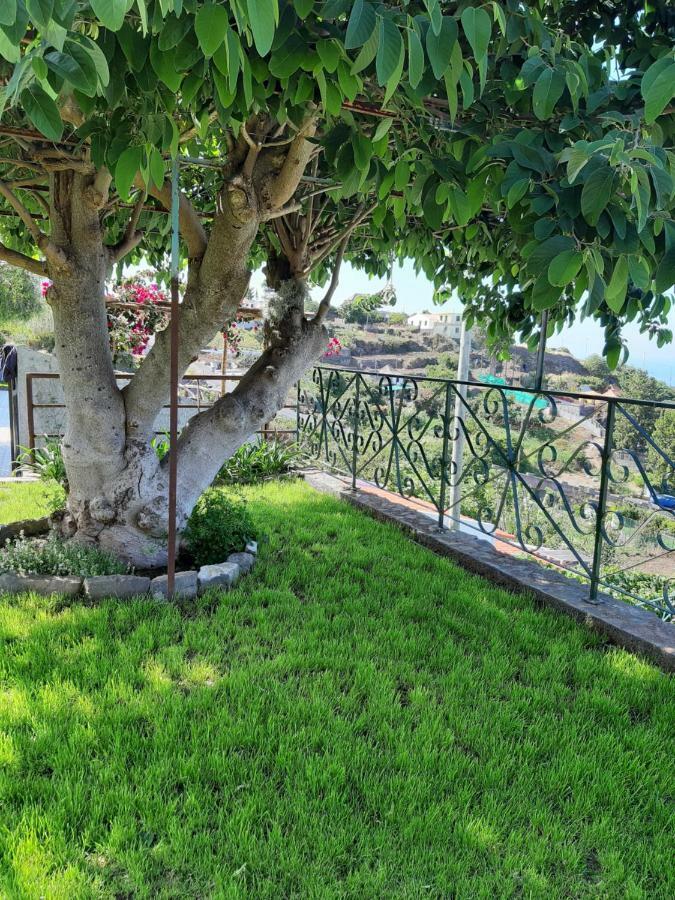 Hotel Casa Velha D Fernando E Casa Avo Augusta Ribeira Brava Exteriér fotografie
